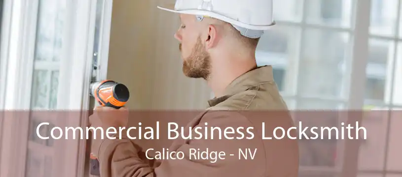 Commercial Business Locksmith Calico Ridge - NV