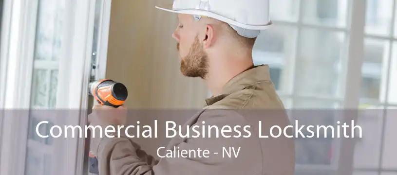 Commercial Business Locksmith Caliente - NV