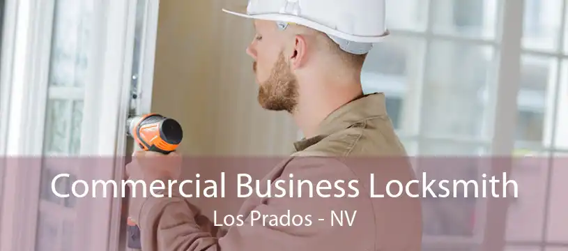 Commercial Business Locksmith Los Prados - NV