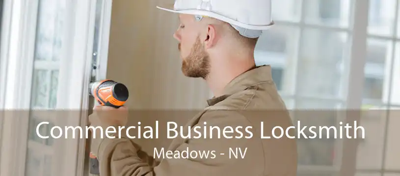 Commercial Business Locksmith Meadows - NV