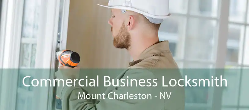 Commercial Business Locksmith Mount Charleston - NV