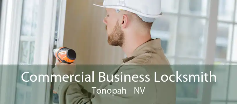 Commercial Business Locksmith Tonopah - NV