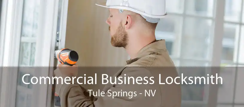Commercial Business Locksmith Tule Springs - NV