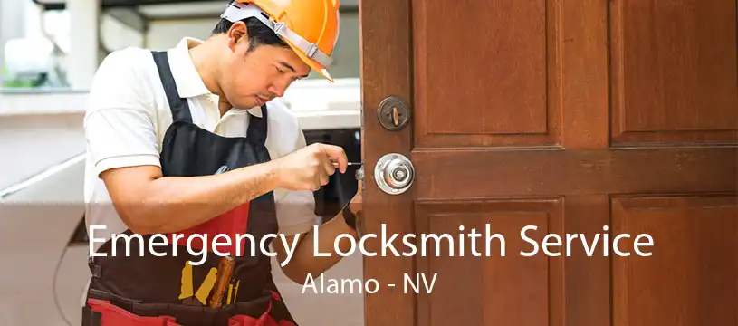 Emergency Locksmith Service Alamo - NV