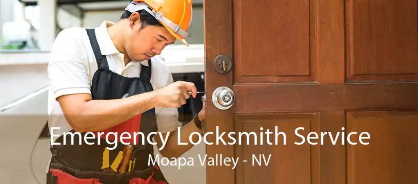 Emergency Locksmith Service Moapa Valley - NV