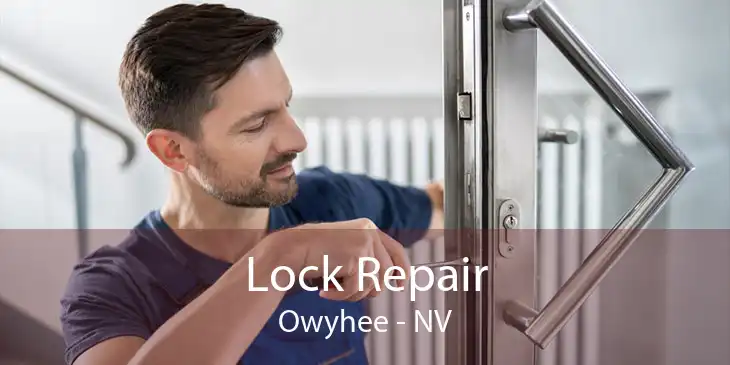 Lock Repair Owyhee - NV