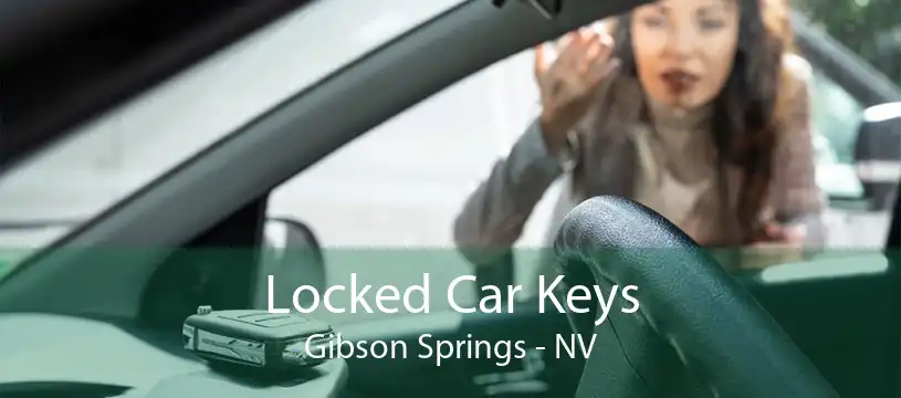 Locked Car Keys Gibson Springs - NV