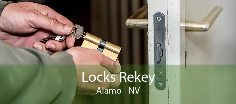 Locks Rekey Alamo - NV