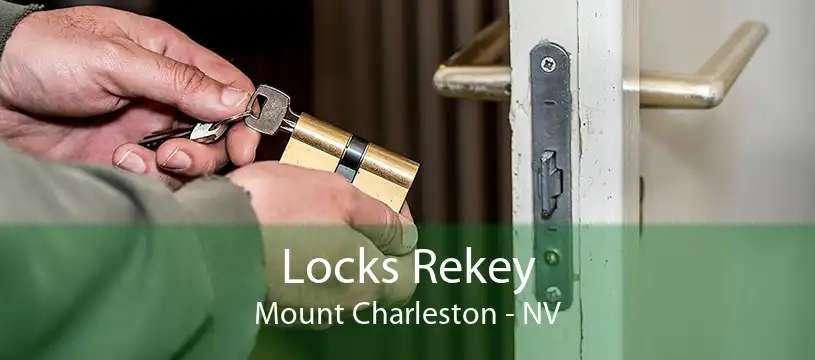 Locks Rekey Mount Charleston - NV