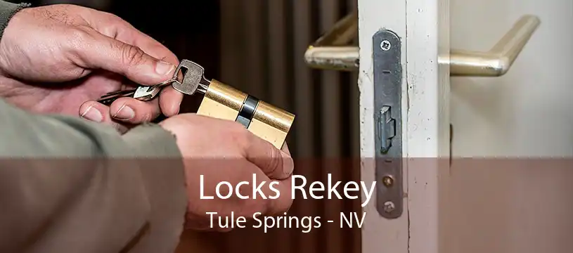 Locks Rekey Tule Springs - NV