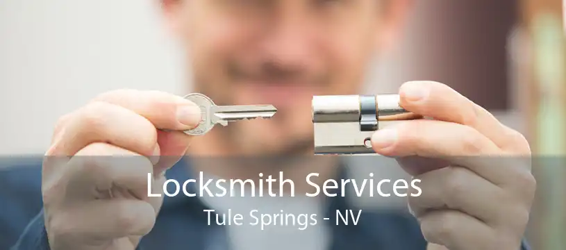 Locksmith Services Tule Springs - NV