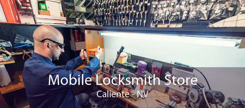 Mobile Locksmith Store Caliente - NV