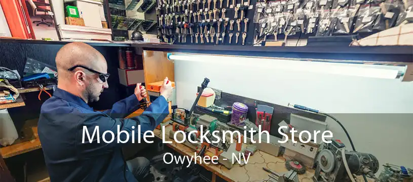 Mobile Locksmith Store Owyhee - NV