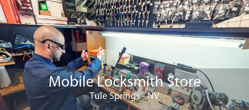 Mobile Locksmith Store Tule Springs - NV