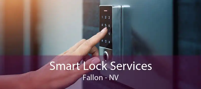 Smart Lock Services Fallon - NV