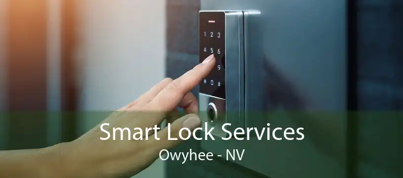Smart Lock Services Owyhee - NV