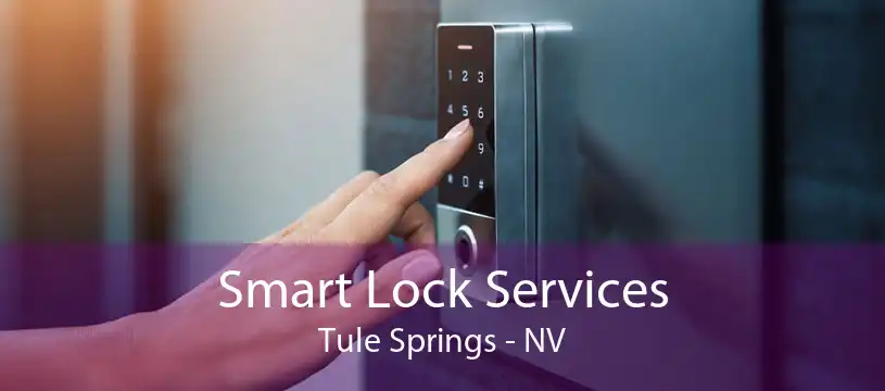 Smart Lock Services Tule Springs - NV