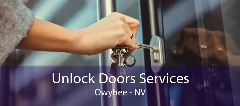 Unlock Doors Services Owyhee - NV